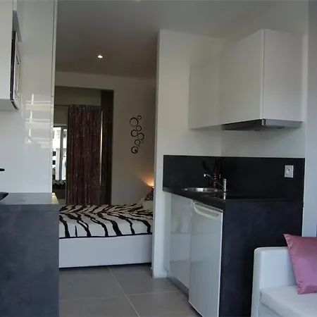 Apartment Climatise Avec Vue Partielle - Fr-1-867-13